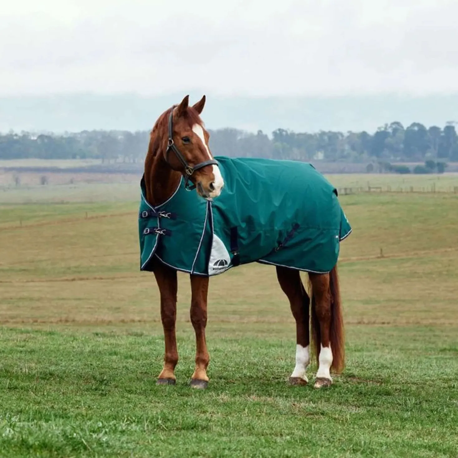 WeatherBeeta ComFiTec Plus Dynamic Turnout 0g Forest Green/Navy