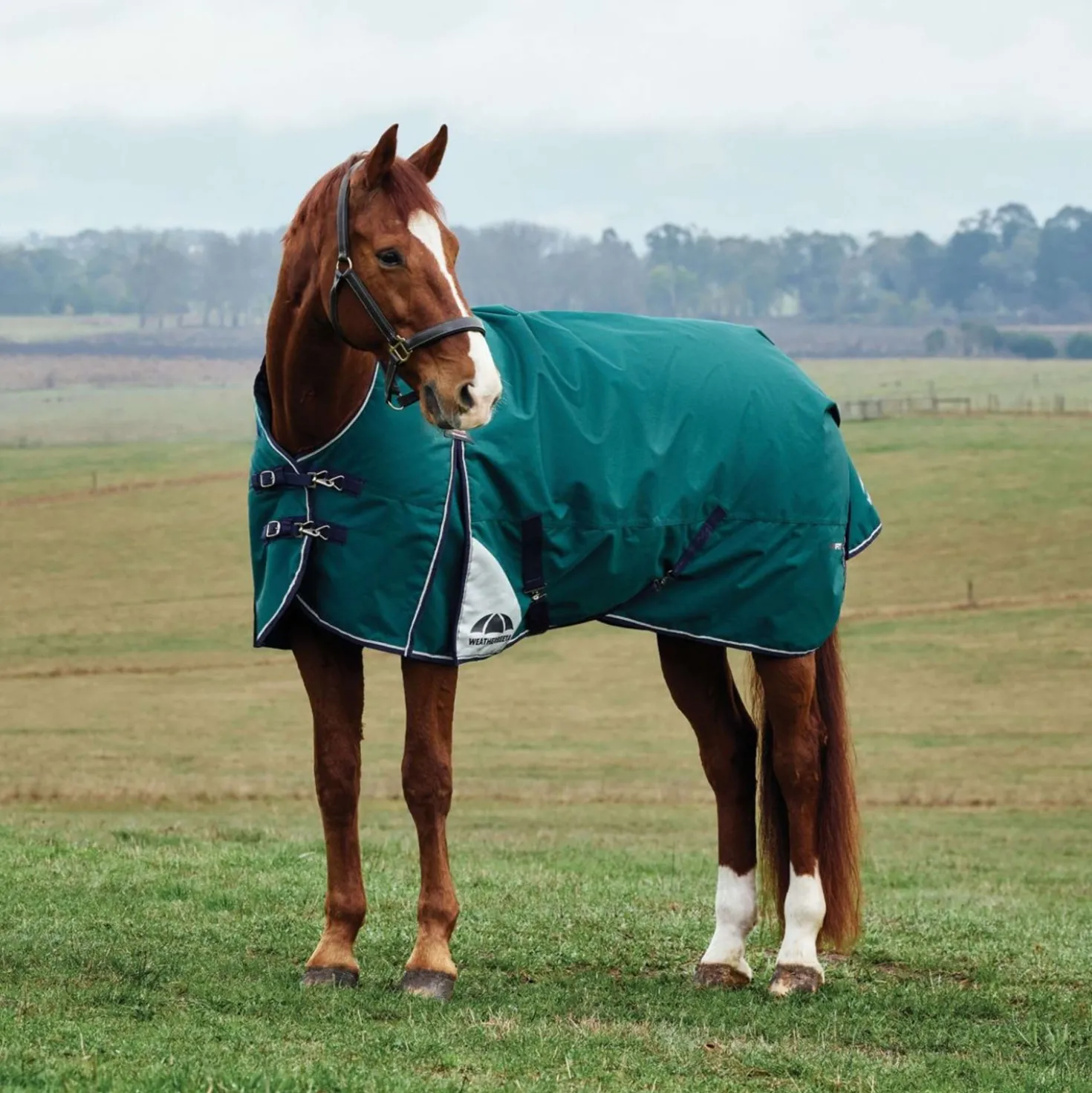 WeatherBeeta ComFiTec Plus Dynamic Turnout High Neck 0g Forest Green/Navy