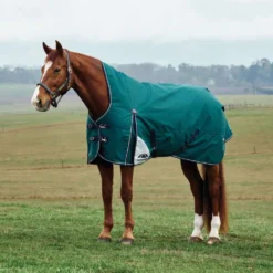 WeatherBeeta ComFiTec Plus Dynamic Turnout High Neck 0g Forest Green/Navy