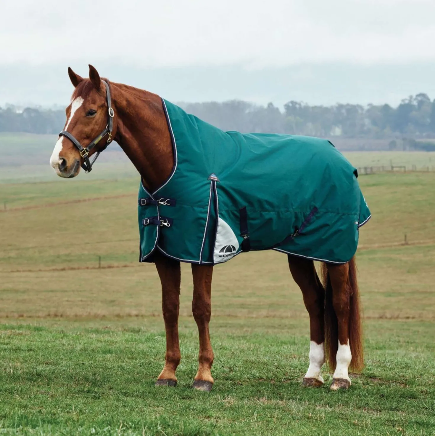 WeatherBeeta ComFiTec Plus Dynamic Turnout High Neck 0g Forest Green/Navy