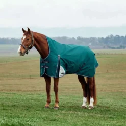 WeatherBeeta ComFiTec Plus Dynamic Turnout High Neck 220g Forest Green/Navy