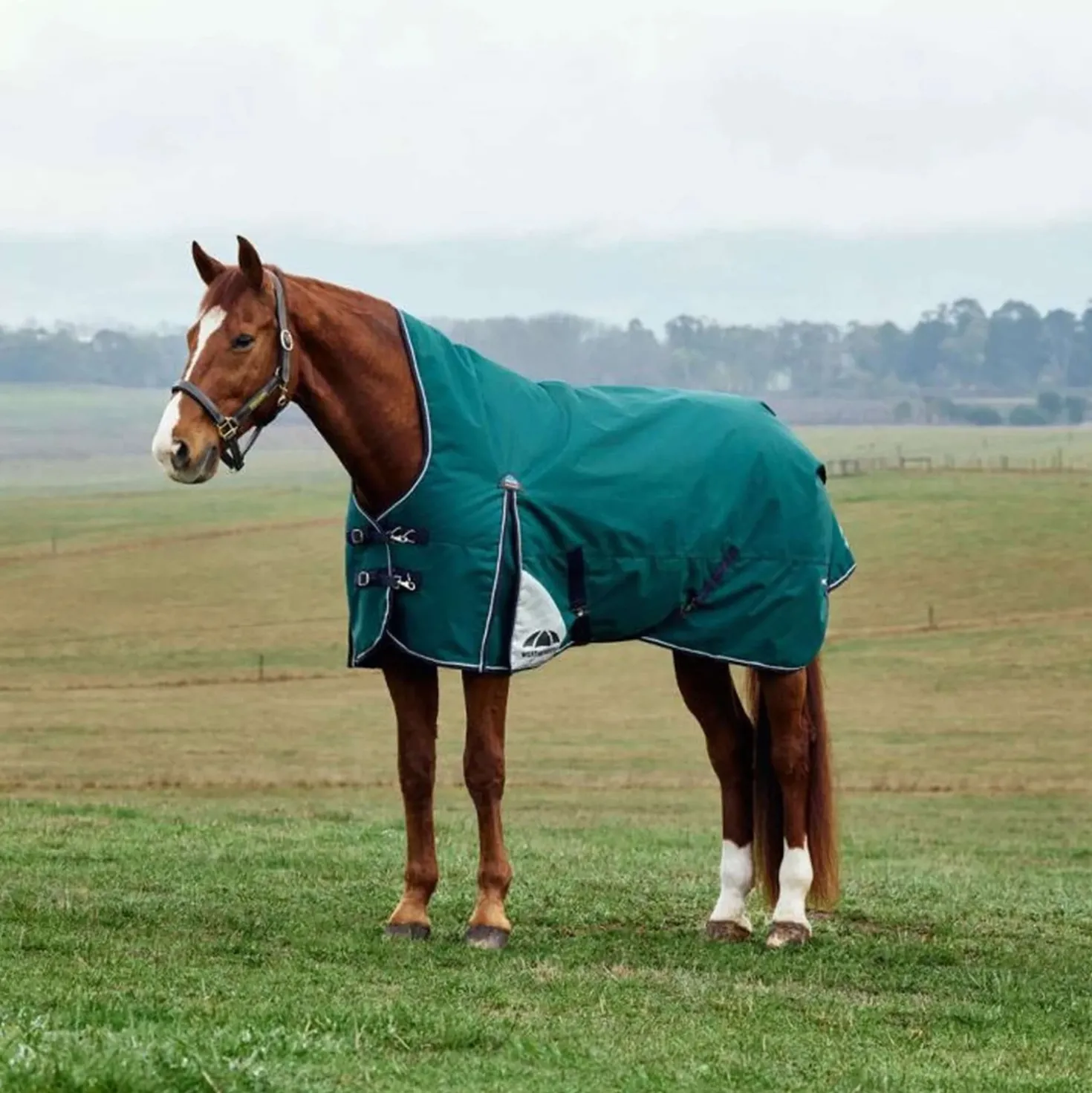 WeatherBeeta ComFiTec Plus Dynamic Turnout High Neck 220g Forest Green/Navy