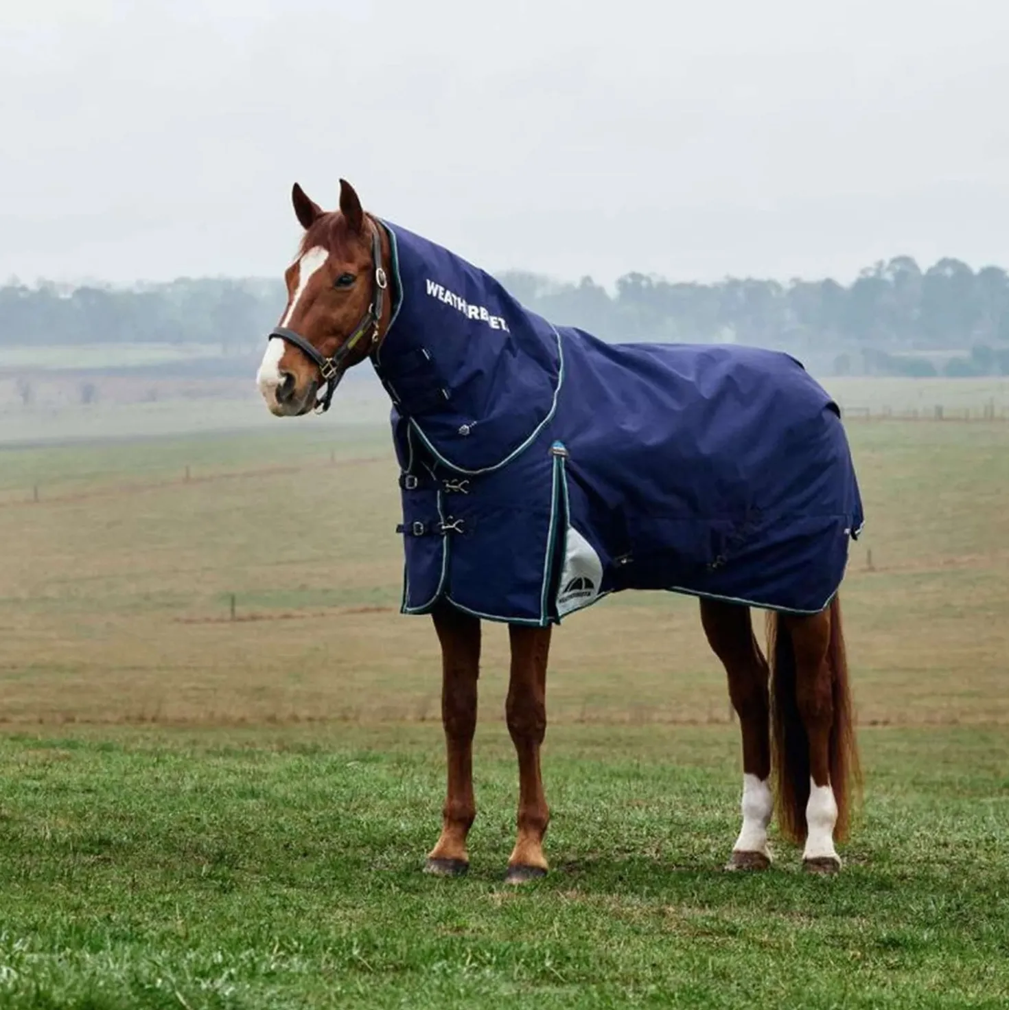 WeatherBeeta ComFiTec Plus Dynamic Turnout Detach-A-Neck 0g Navy/Forest Green