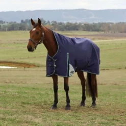 WeatherBeeta ComFiTec Plus Dynamic Turnout High Neck 100g Navy/Forest Green