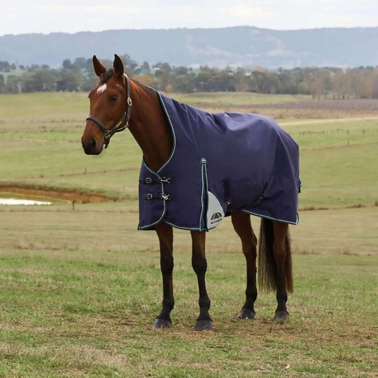 WeatherBeeta ComFiTec Plus Dynamic Turnout High Neck 100g Navy/Forest Green