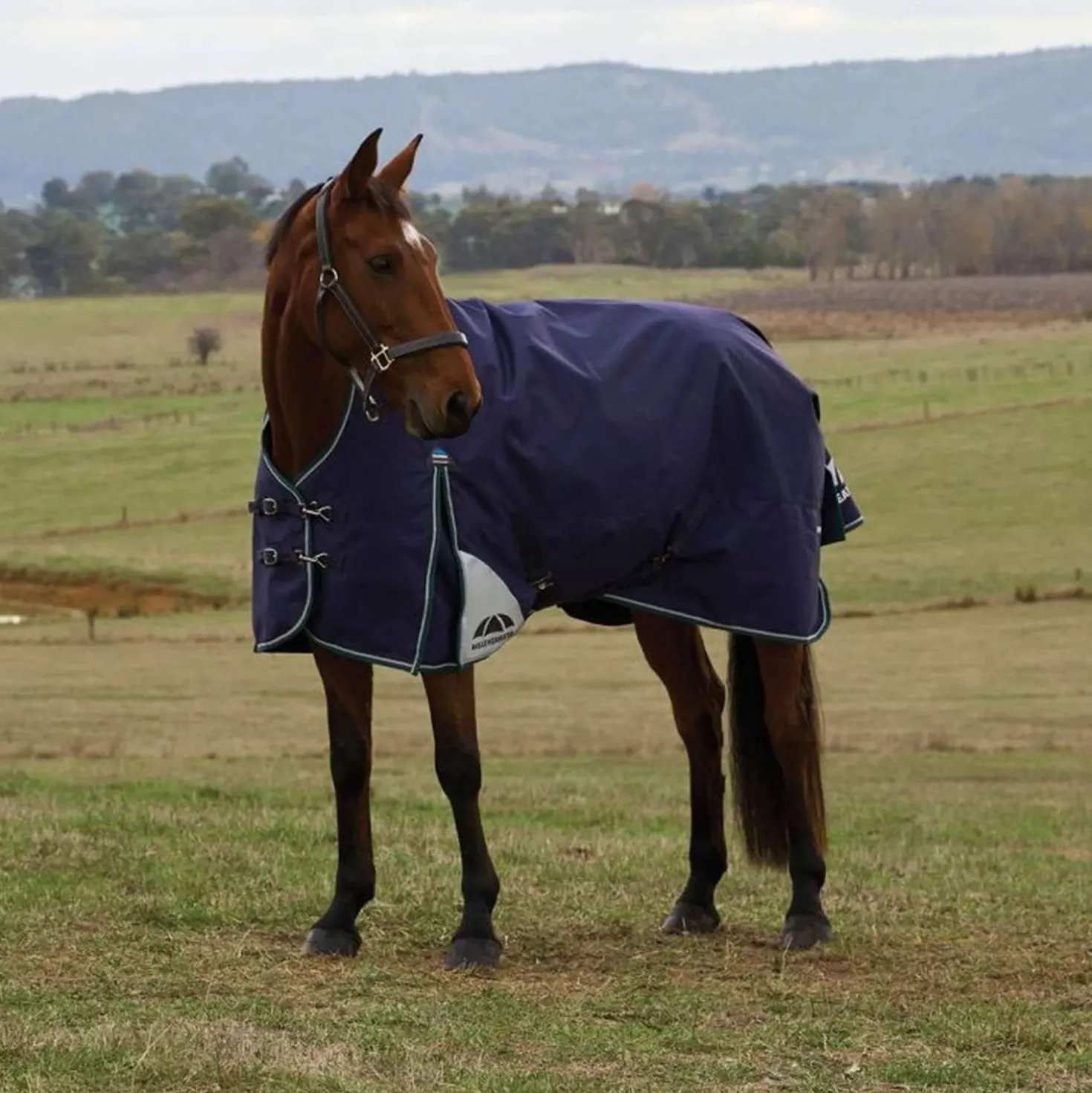 WeatherBeeta ComFiTec Plus Dynamic Turnout High Neck 100g Navy/Forest Green