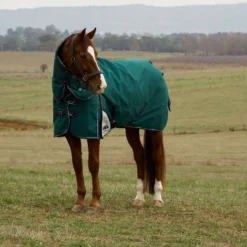 WeatherBeeta ComFiTec Plus Dynamic Turnout Detach-A-Neck 100g Forest Green/Navy