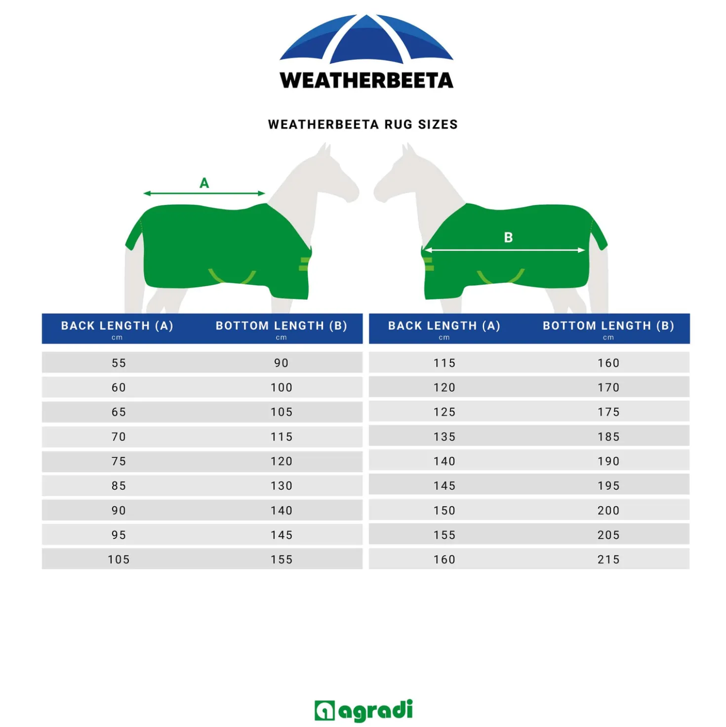 WeatherBeeta ComFiTec Plus Dynamic Turnout Detach-A-Neck 100g Forest Green/Navy