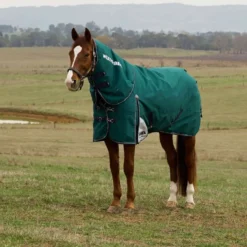 WeatherBeeta ComFiTec Plus Dynamic Turnout Detach-A-Neck 100g Forest Green/Navy