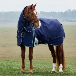 WeatherBeeta ComFiTec Plus Dynamic Turnout Detach-A-Neck 360g Navy/Forest Green