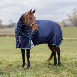 WeatherBeeta ComFiTec Plus Dynamic Turnout Detach-A-Neck 360g Navy/Forest Green