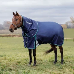 WeatherBeeta ComFiTec Plus Dynamic Turnout Detach-A-Neck 360g Navy/Forest Green