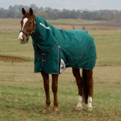 WeatherBeeta ComFiTec Plus Dynamic Turnout Detach-A-Neck 360g Forest Green/Navy