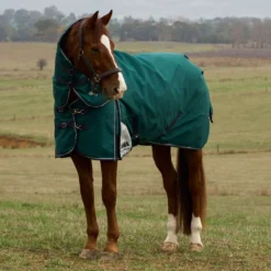 WeatherBeeta ComFiTec Plus Dynamic Turnout Detach-A-Neck 360g Forest Green/Navy