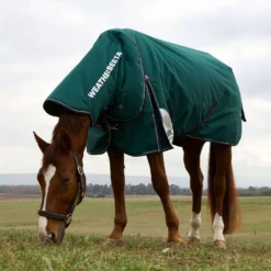 WeatherBeeta ComFiTec Plus Dynamic Turnout Detach-A-Neck 360g Forest Green/Navy