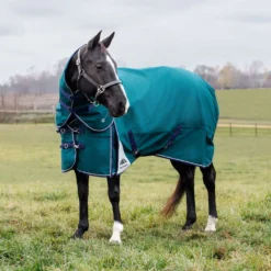 WeatherBeeta ComFiTec Plus Dynamic Turnout Detach-A-Neck 360g Forest Green/Navy