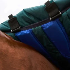 WeatherBeeta ComFiTec Plus Dynamic Turnout Detach-A-Neck 360g Forest Green/Navy
