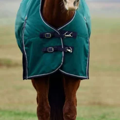 WeatherBeeta ComFiTec Plus Dynamic Turnout 220g Forest Green/Navy