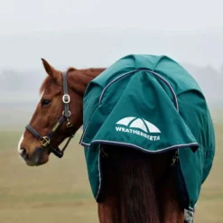 WeatherBeeta ComFiTec Plus Dynamic Turnout 220g Forest Green/Navy
