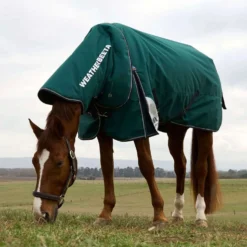 WeatherBeeta ComFiTec Plus Dynamic Turnout Detach-A-Neck 220g Forest Green/Navy