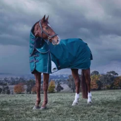 WeatherBeeta ComFiTec Plus Dynamic Turnout Detach-A-Neck 220g Forest Green/Navy