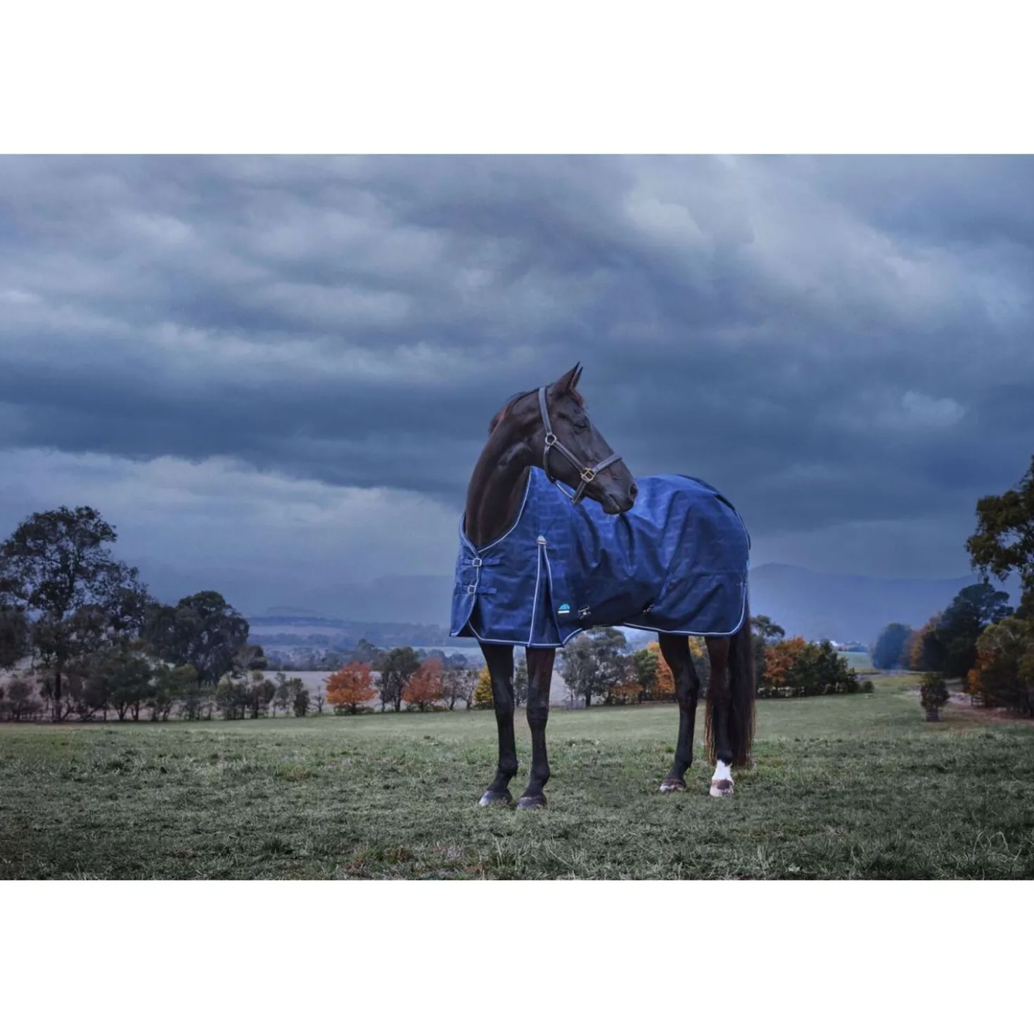 WeatherBeeta ComFiTec Prelim Turnout 220g Navy Embossed Plaid