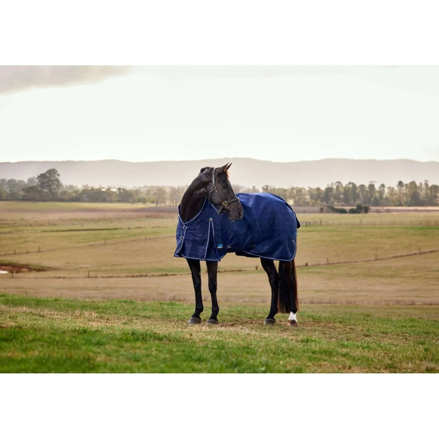 WeatherBeeta ComFiTec Prelim Turnout 220g Navy Embossed Plaid