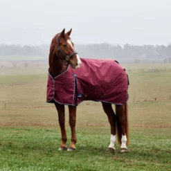 WeatherBeeta ComFiTec Prelim Turnout 220g Burgundy/Navy