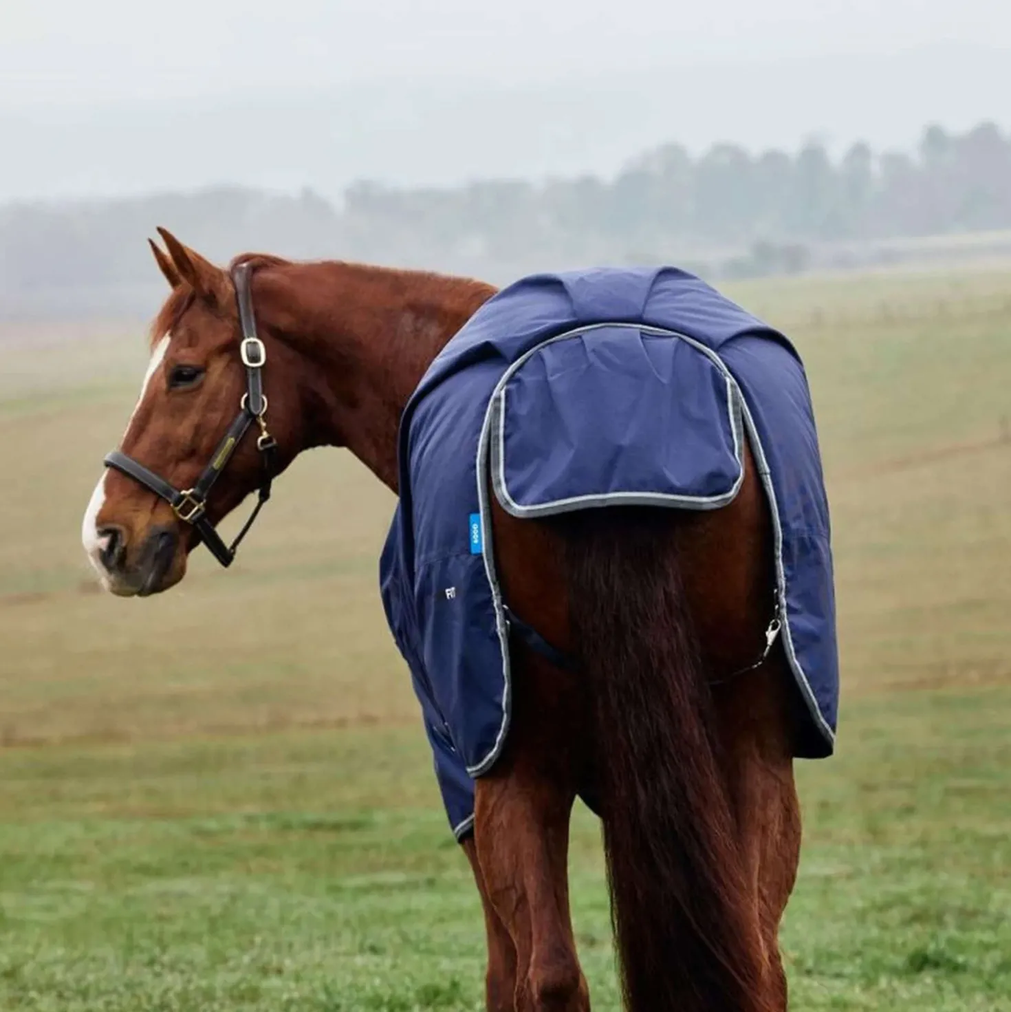 WeatherBeeta ComFiTec Tyro Turnout Standard Neck 50g Navy/Charcoal