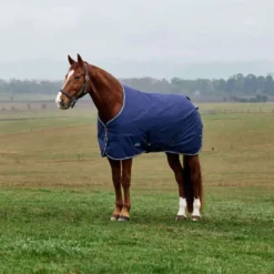 WeatherBeeta ComFiTec Tyro Turnout Standard Neck 50g Navy/Charcoal