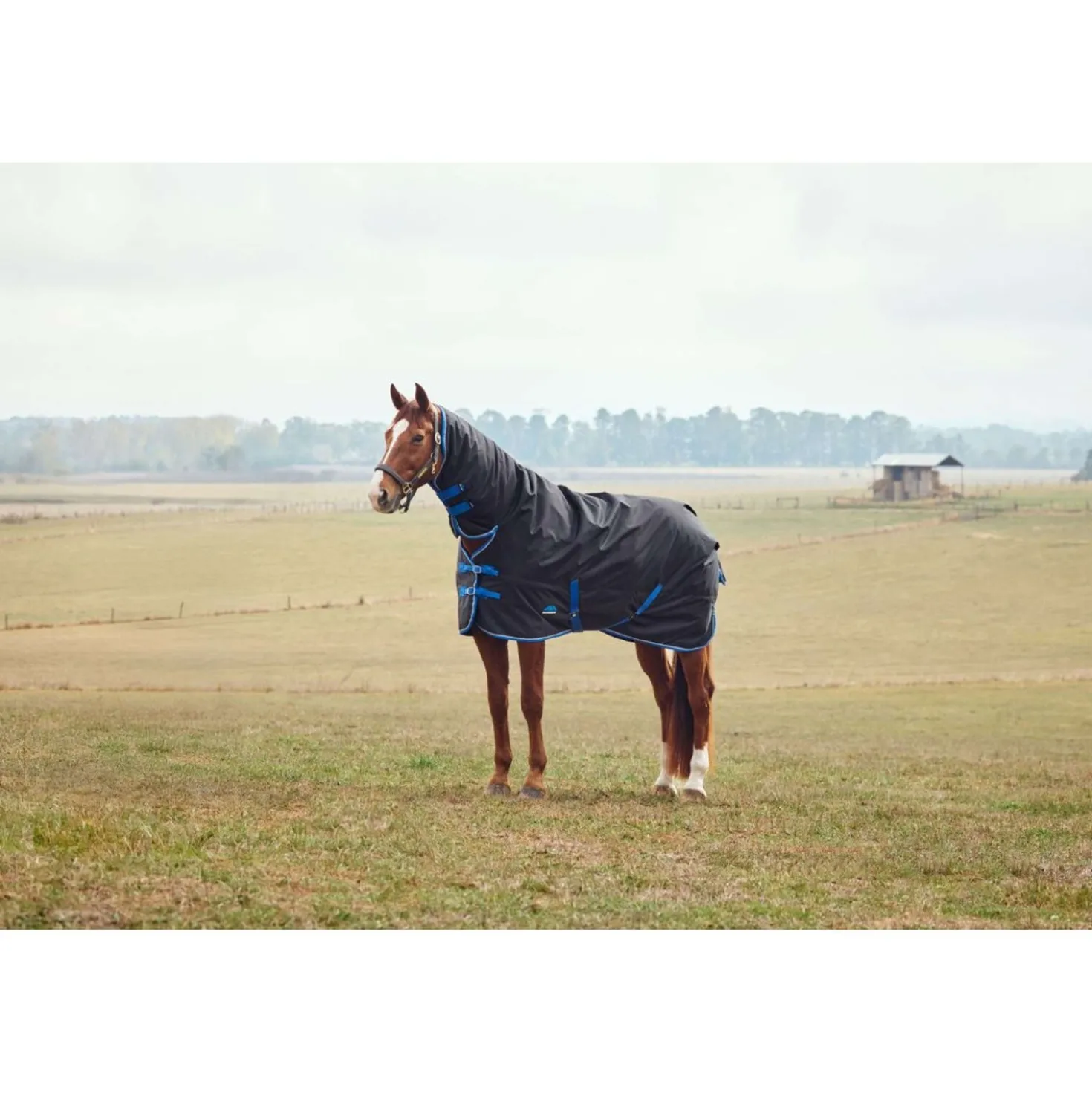 WeatherBeeta ComFiTec Tyro Turnout Combo Neck 220g Zwart/Kobalt