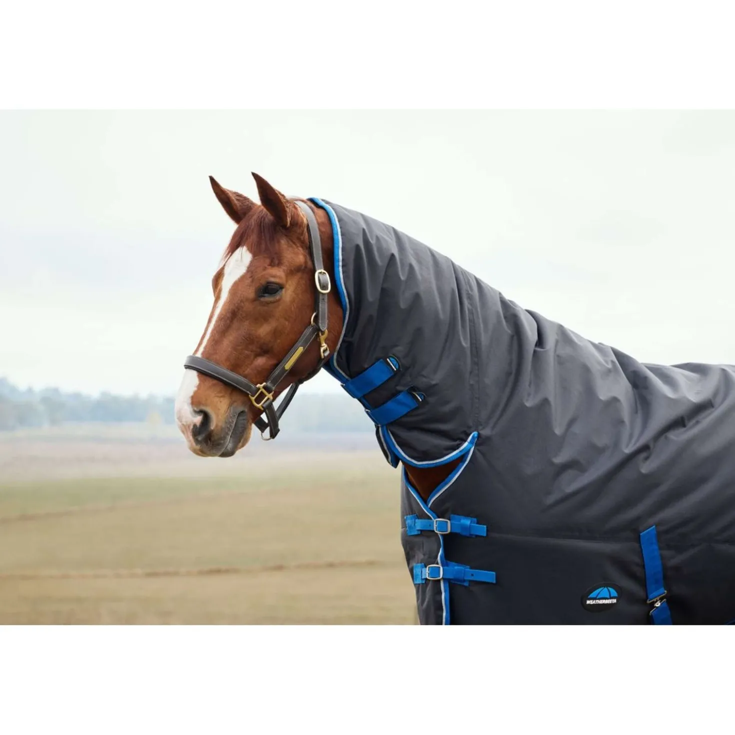 WeatherBeeta ComFiTec Tyro Turnout Combo Neck 220g Zwart/Kobalt