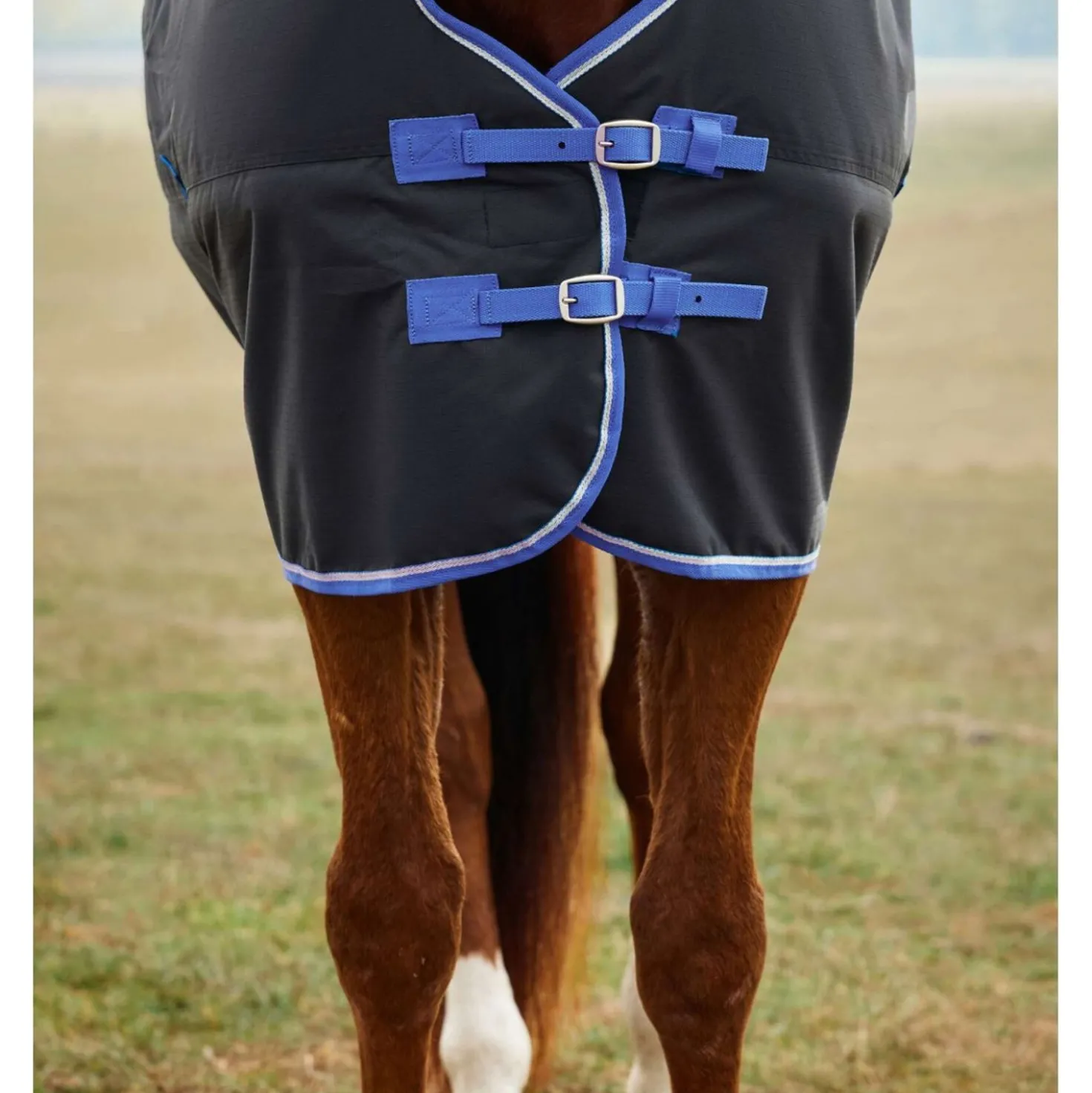 WeatherBeeta ComFiTec Tyro Turnout Standard Neck 220g Zwart/Kobalt