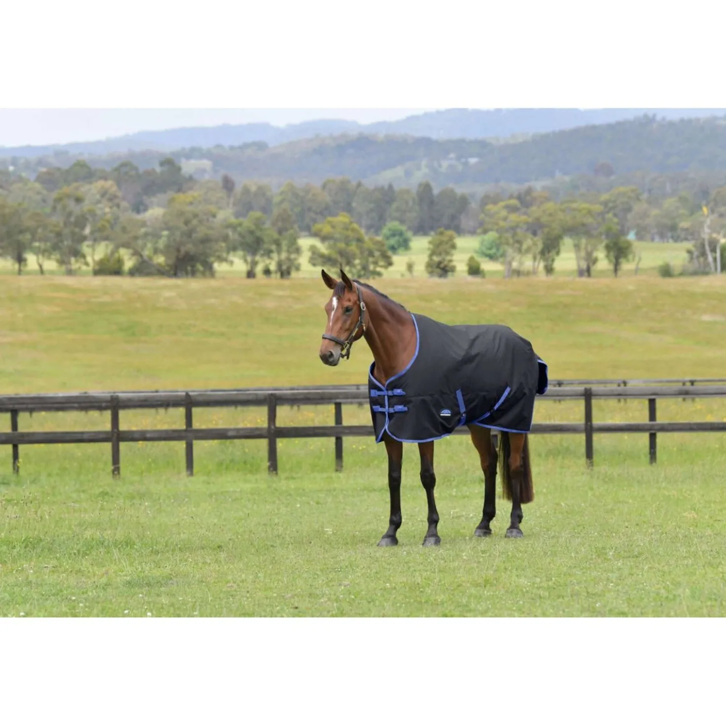 WeatherBeeta ComFiTec Tyro Turnout Standard Neck 220g Zwart/Kobalt