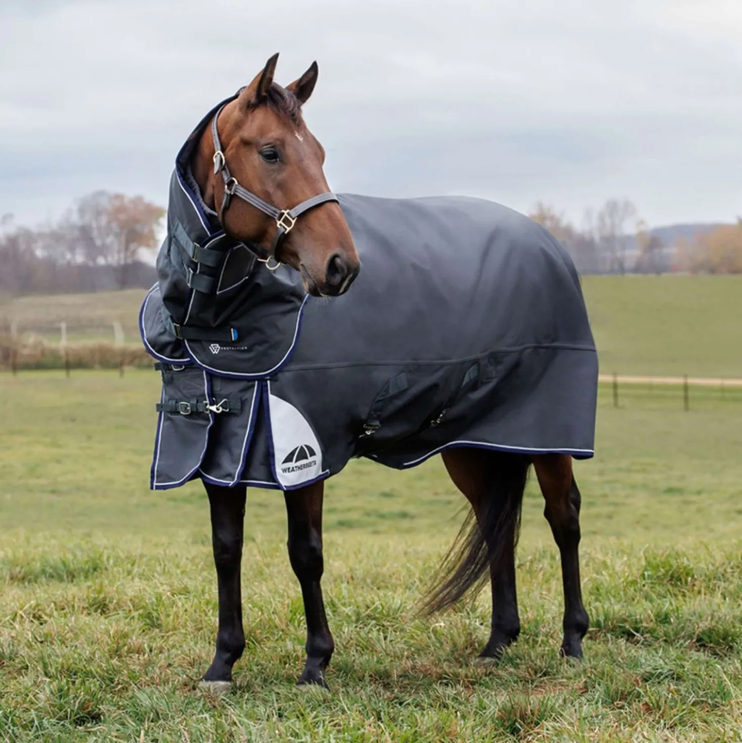 WeatherBeeta ComFiTec Ultra Turnout Detach-A-Neck 360g Charcoal