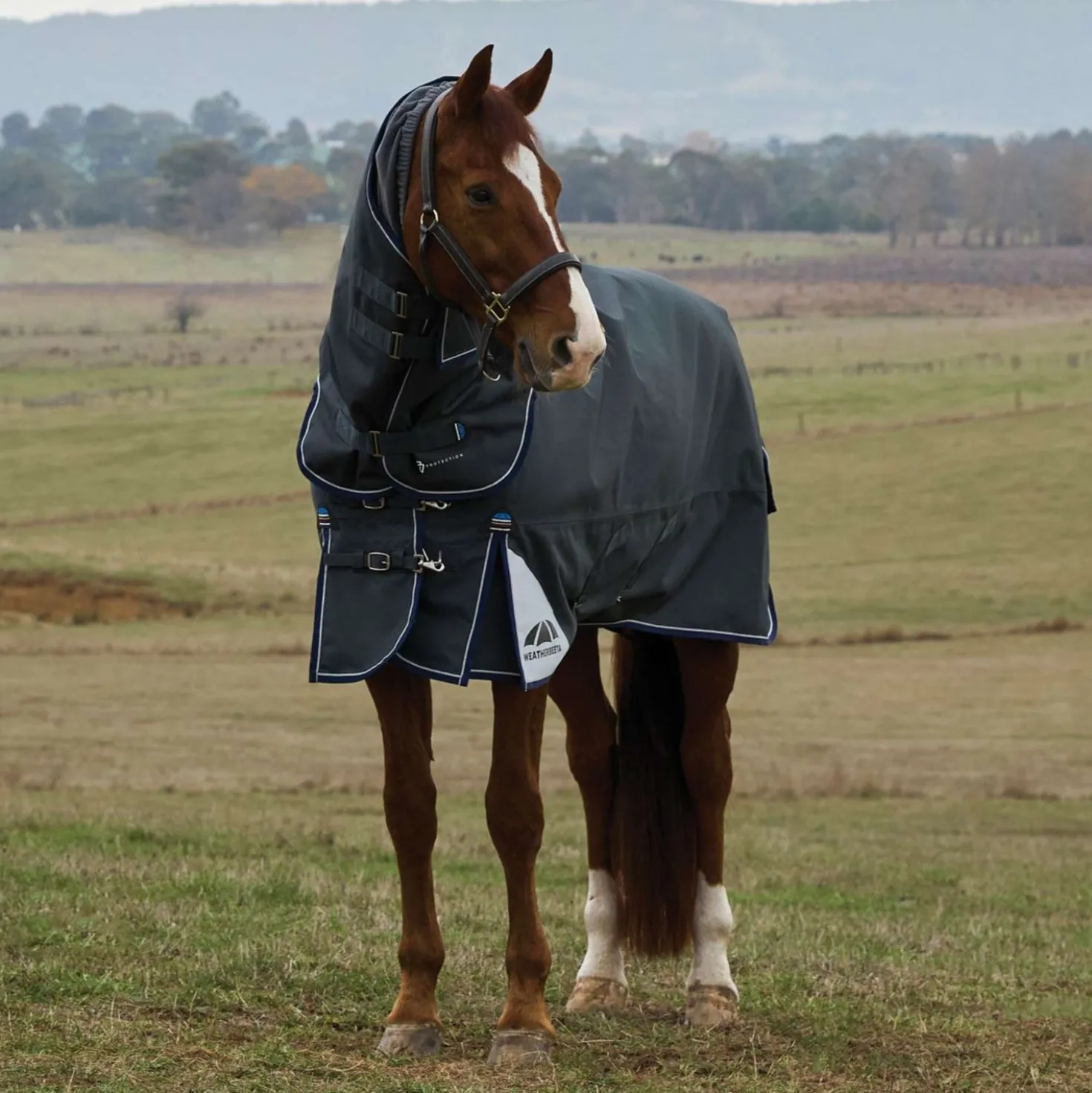WeatherBeeta ComFiTec Ultra Turnout Detach-A-Neck 360g Charcoal