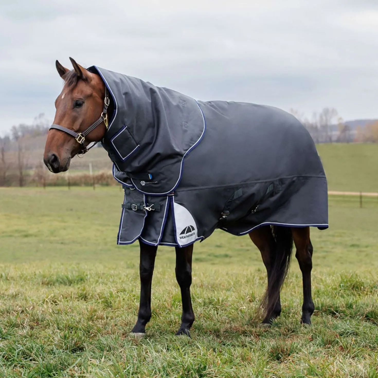 WeatherBeeta ComFiTec Ultra Turnout Detach-A-Neck 360g Charcoal