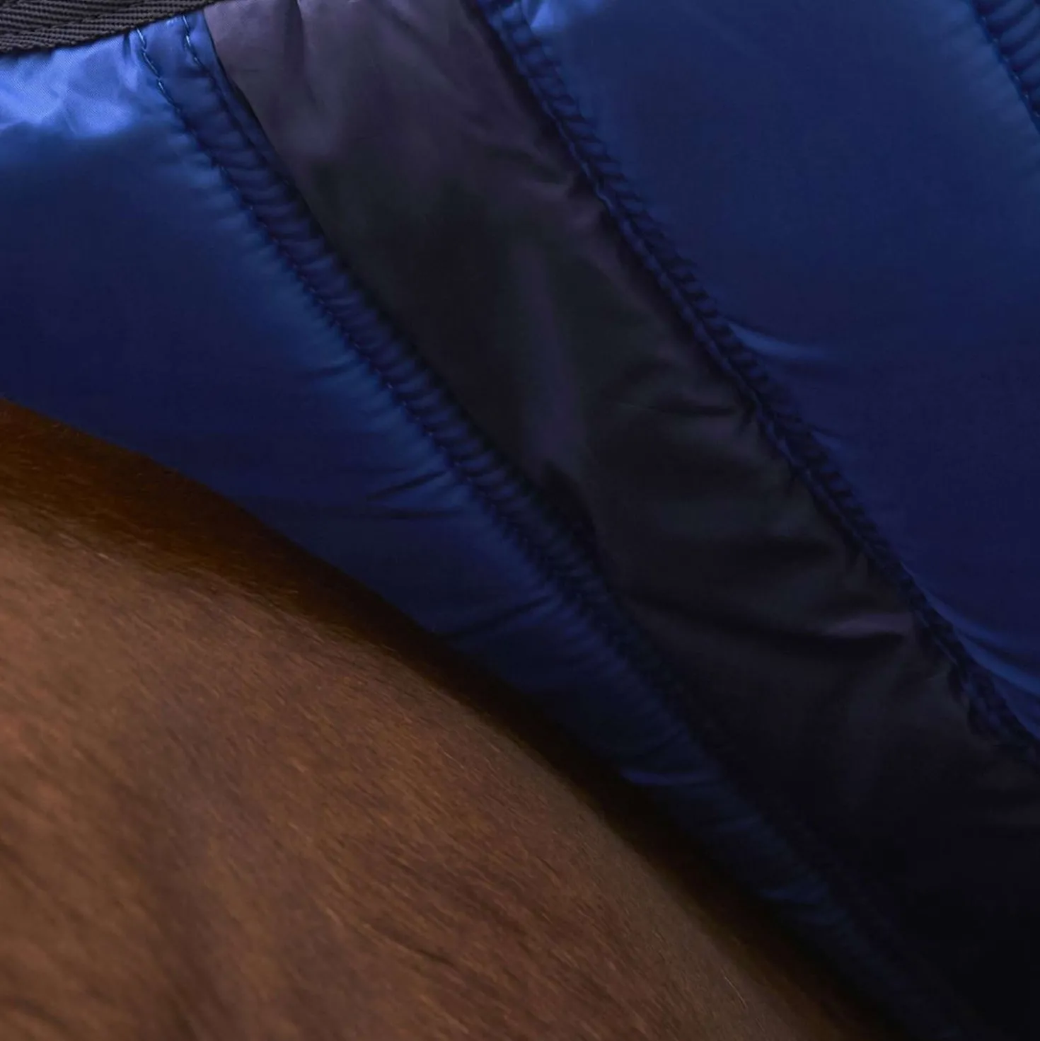 WeatherBeeta ComFiTec Ultra Turnout Standard Neck 220g Navy