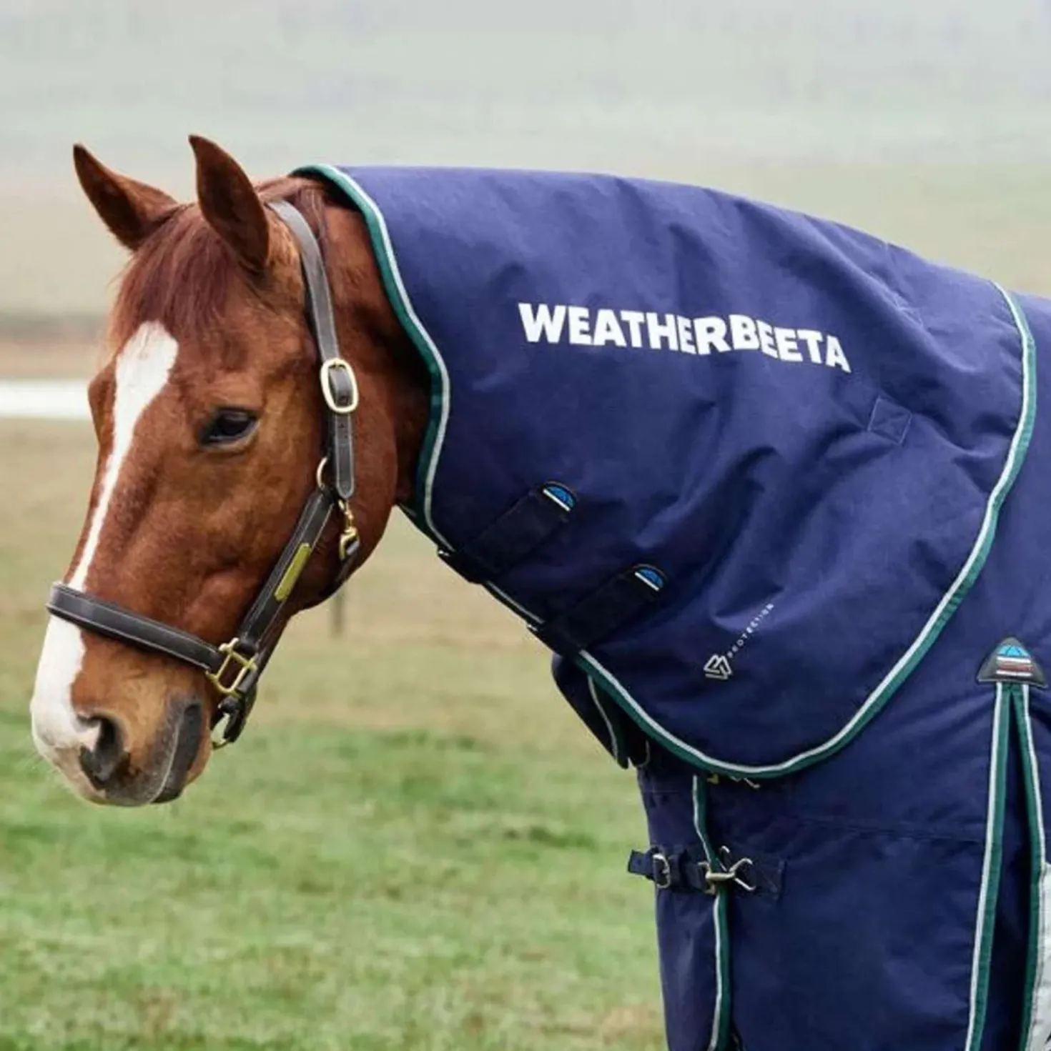 WeatherBeeta Halsstuk ComFiTec Plus Dynamic Turnout 100g Navy/Forest Green
