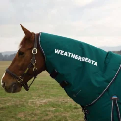 WeatherBeeta Halsstuk ComFiTec Plus Dynamic Turnout 0g Forest Green/Navy