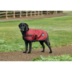 WeatherBeeta Hondendeken ComFiTec Classic Waterproof Burgundy