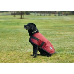 WeatherBeeta Hondendeken ComFiTec Classic Waterproof Burgundy
