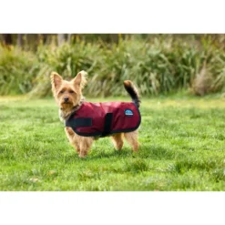 WeatherBeeta Hondendeken ComFiTec Classic Waterproof Burgundy