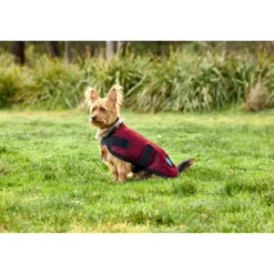WeatherBeeta Hondendeken ComFiTec Classic Waterproof Burgundy