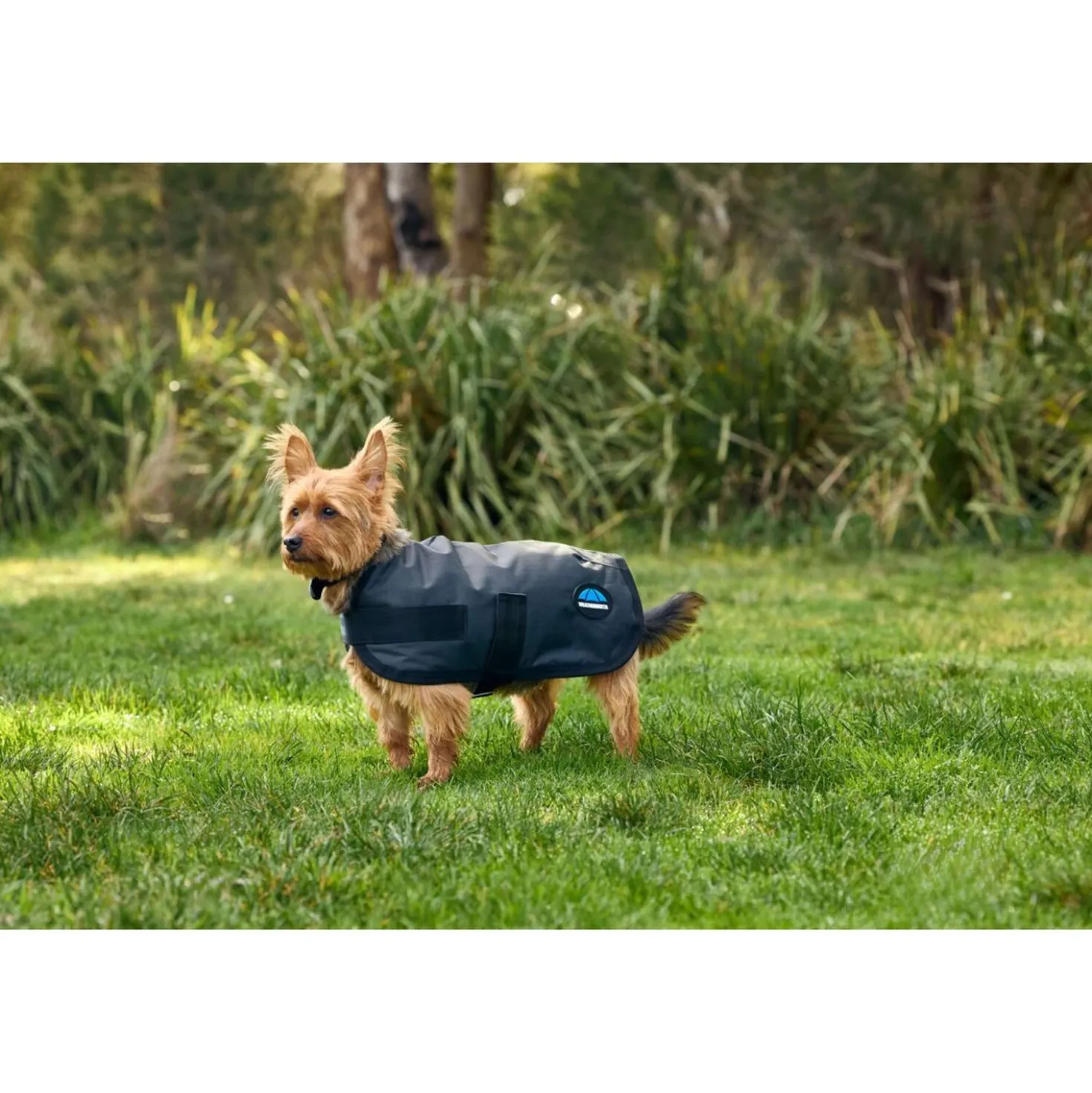 WeatherBeeta Hondendeken ComFiTec Classic Waterproof Charcoal