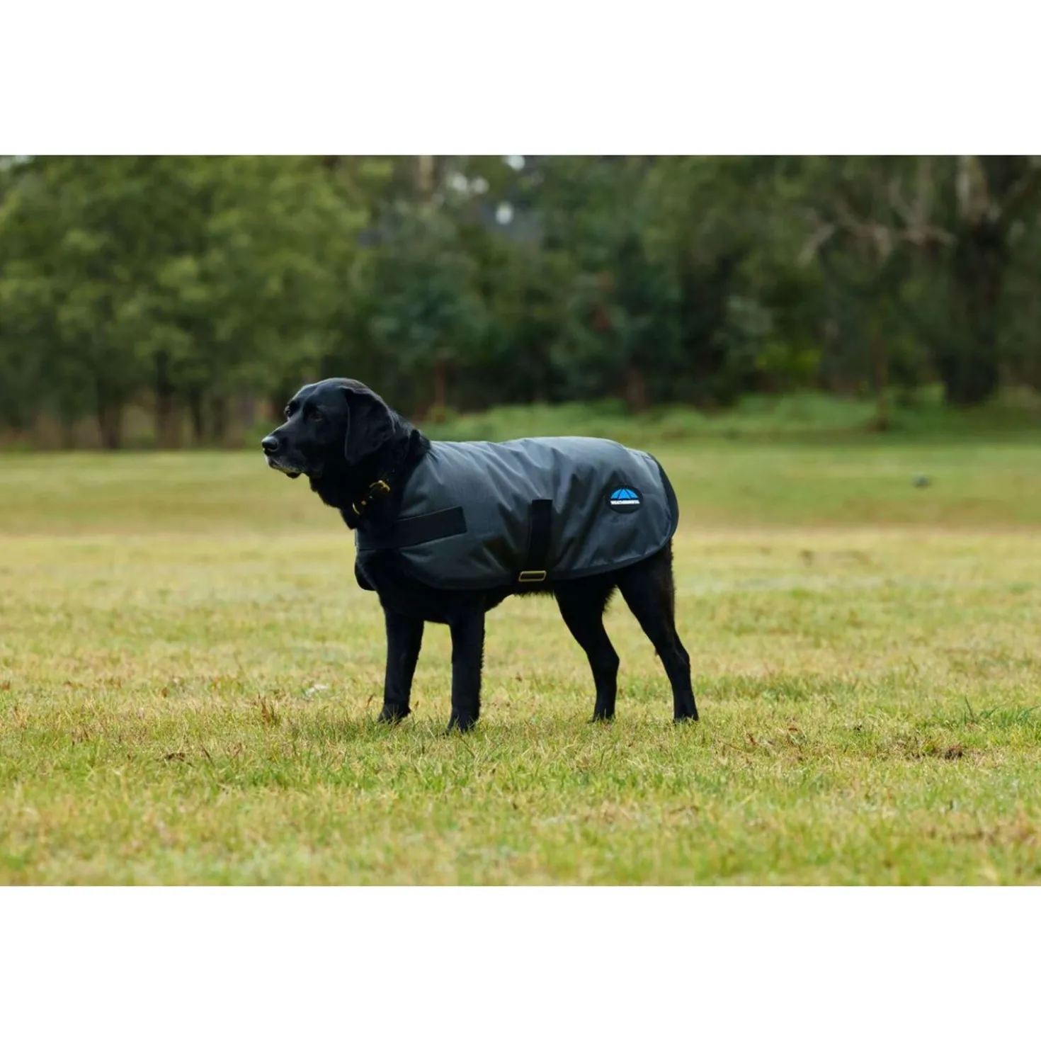 WeatherBeeta Hondendeken ComFiTec Classic Waterproof Charcoal
