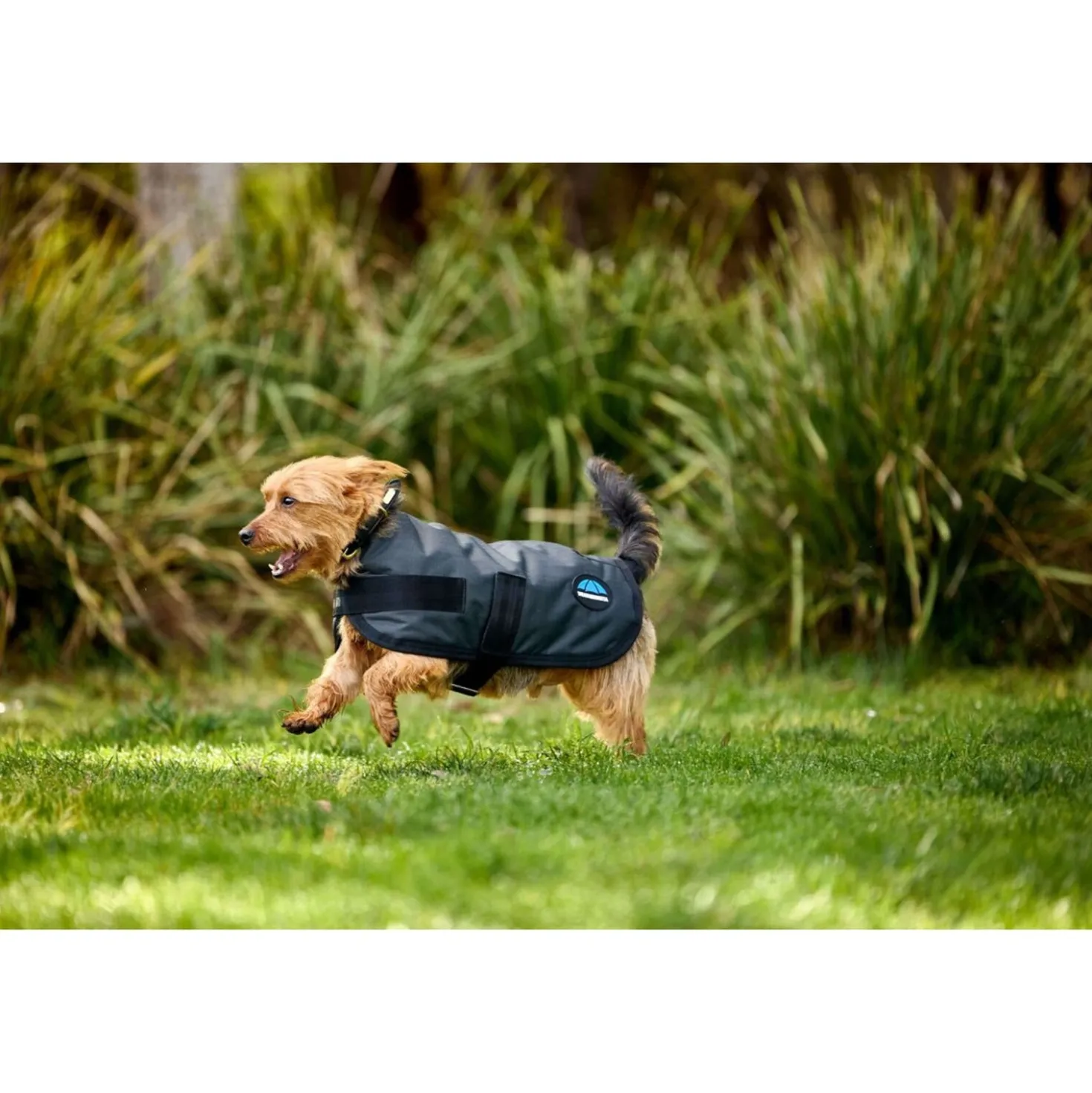 WeatherBeeta Hondendeken ComFiTec Classic Waterproof Charcoal