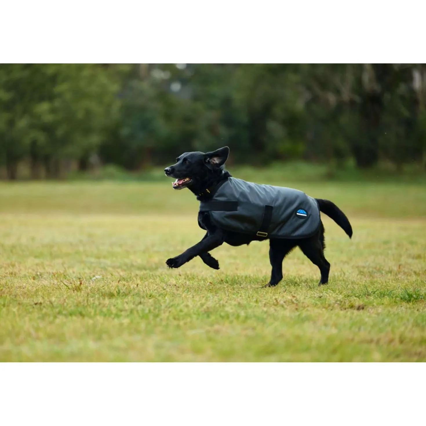 WeatherBeeta Hondendeken ComFiTec Classic Waterproof Charcoal