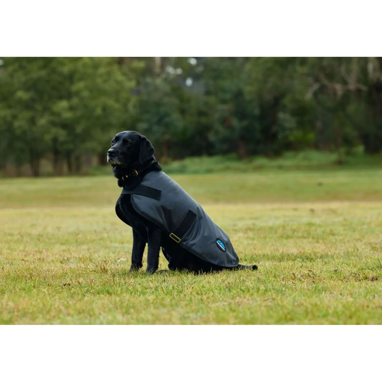 WeatherBeeta Hondendeken ComFiTec Classic Waterproof Charcoal
