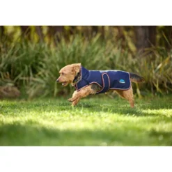 WeatherBeeta Hondendeken ComFiTec Premier Deluxe Waterproof Navy/Burgundy